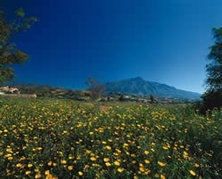 La Quinta property: Land for sale in La Quinta 213903