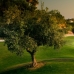 La Quinta property: bedroom Land in Malaga 213905