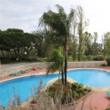 Guadalmina Alta property: Apartment for sale in Guadalmina Alta 213915