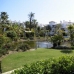 Costalita property: Beautiful Apartment for sale in Costalita 213951
