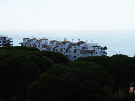 Calahonda property: Studio for sale in Calahonda 213956