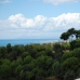 Marbella property: Marbella, Spain Apartment 213977
