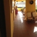 Marbella property: Apartment in Malaga 213978