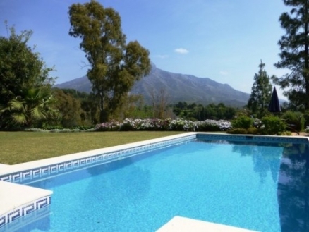 Nueva Andalucia property: Villa with 4 bedroom in Nueva Andalucia 213980
