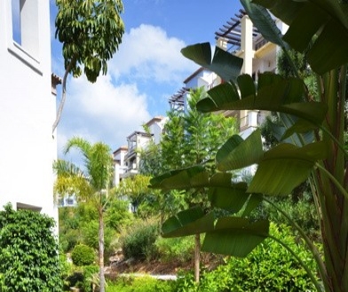 Los Arqueros property: Malaga Apartment 213996