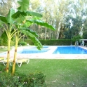 Nueva Andalucia property: Apartment for sale in Nueva Andalucia 214000