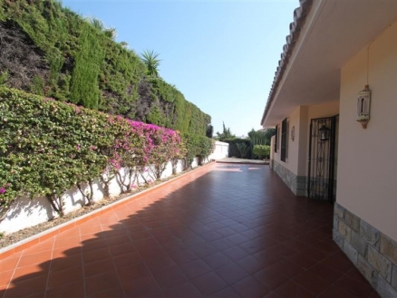 town Villa 214013