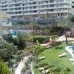 Nueva Andalucia property: Apartment in Nueva Andalucia 214031