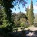 Campanet property: Villa in Mallorca 214169