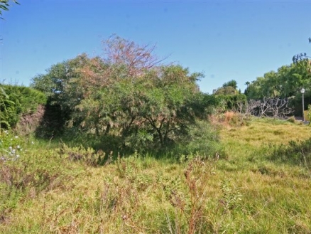 Las Brisas property: Land with bedroom in Las Brisas, Spain 214177