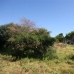 Las Brisas property: Las Brisas, Spain Land 214177