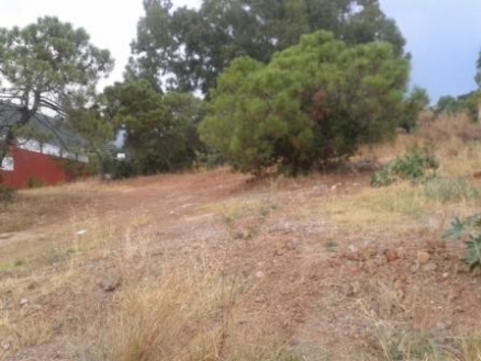 Land for sale in town 214206