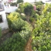 Nueva Andalucia property: Apartment in Nueva Andalucia 214207
