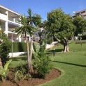 Nueva Andalucia property: Apartment for sale in Nueva Andalucia 214218
