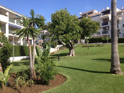 Nueva Andalucia property: Apartment for sale in Nueva Andalucia 214218