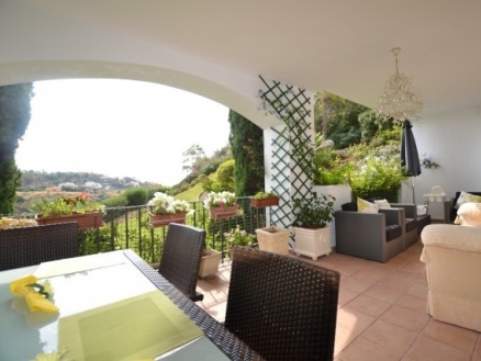 Nueva Andalucia property: Apartment for sale in Nueva Andalucia, Spain 214240
