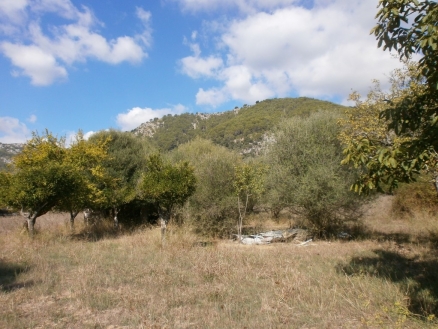 Campanet property: Land in Mallorca for sale 214260