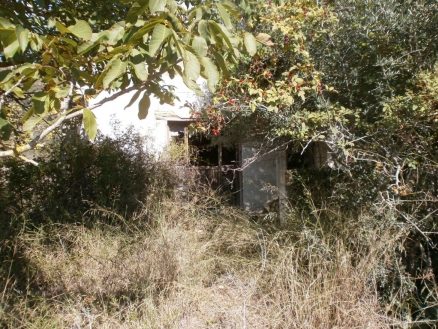 Campanet property: Mallorca property | 1 bedroom Land 214260