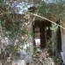 Campanet property: 1 bedroom Land in Mallorca 214260