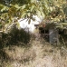 Campanet property: Campanet Land, Spain 214260