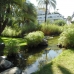 Puerto Banus property: Apartment in Malaga 214275