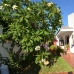 Malaga property: Beautiful Villa for sale in Malaga 214289