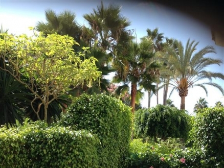 Elviria property: Malaga Apartment 214326