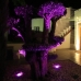 Malaga property: Malaga Villa, Spain 214329
