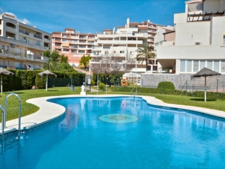 Benalmadena Costa property: Malaga Apartment 214338