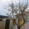 Torremolinos property: Villa for sale in Torremolinos 214341