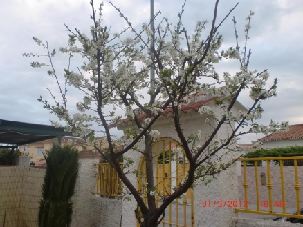 Torremolinos property: Villa for sale in Torremolinos 214341