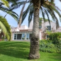 Villa for sale in town 214343