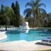 Nueva Andalucia property: Beautiful Apartment for sale in Nueva Andalucia 214351