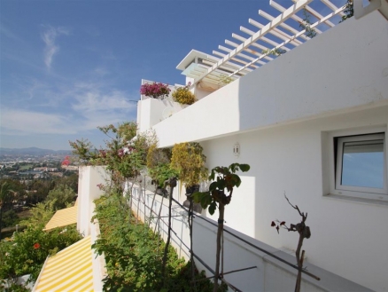 town Apartment 214357