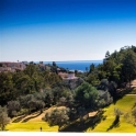 Townhome for sale in town 214361