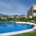 Malaga, Spain Apartment 214363