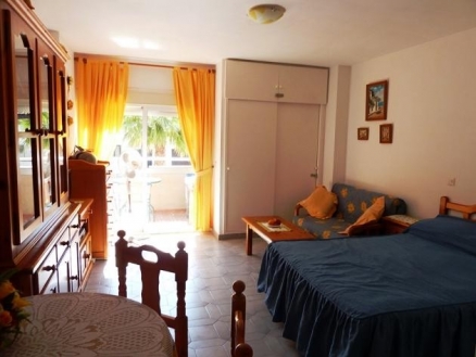 Arroyo De La Miel property: Studio for sale in Arroyo De La Miel 214385