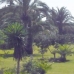 Estepona property: Estepona Apartment, Spain 214397