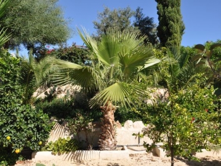 San Vicente Del Raspeig property: Alicante Villa 214424