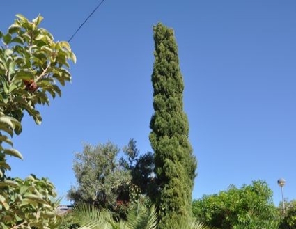 San Vicente Del Raspeig property: San Vicente Del Raspeig Villa 214424