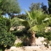 San Vicente Del Raspeig property: Beautiful Villa for sale in San Vicente Del Raspeig 214424
