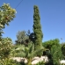 San Vicente Del Raspeig property: Beautiful Villa for sale in Alicante 214424