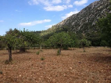 Pollença property: Land for sale in Pollença 214425