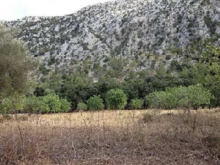 Pollença property: Land with bedroom in Pollença 214425