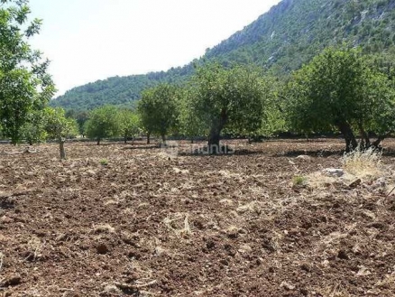 Pollença property: Land with bedroom in Pollença, Spain 214425