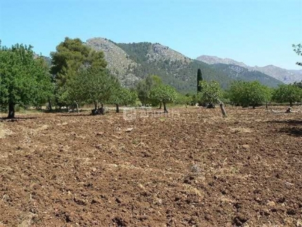 Pollença property: Land for sale in Pollença, Mallorca 214425