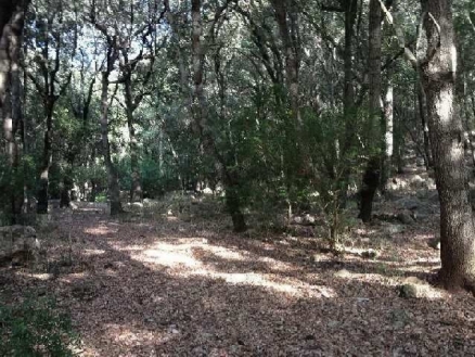 Pollença property: Land for sale in Pollença, Spain 214425