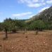 Pollença property: Land for sale in Pollença 214425