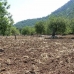 Pollença property: bedroom Land in Mallorca 214425