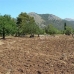 Pollença property: Land in Mallorca 214425